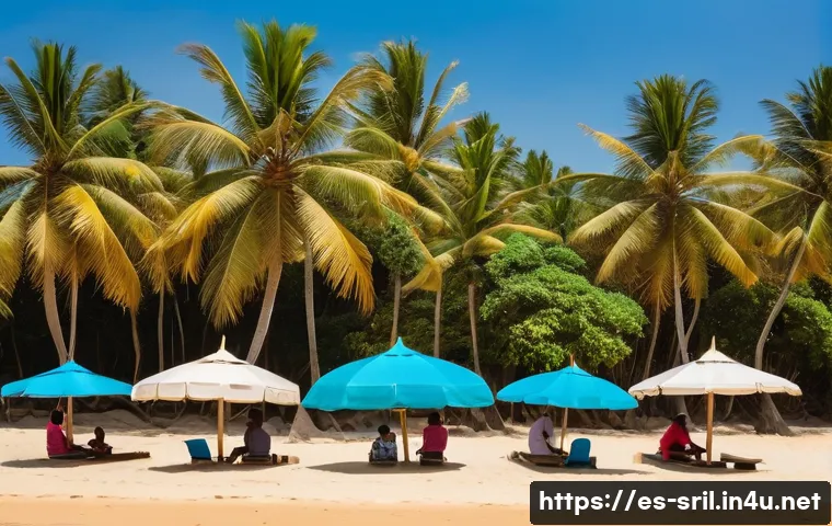 스리랑카 기후별 여행 시기 - A vibrant coastal scene in Sri Lanka during the dry season, featuring golden sandy beaches with turq...