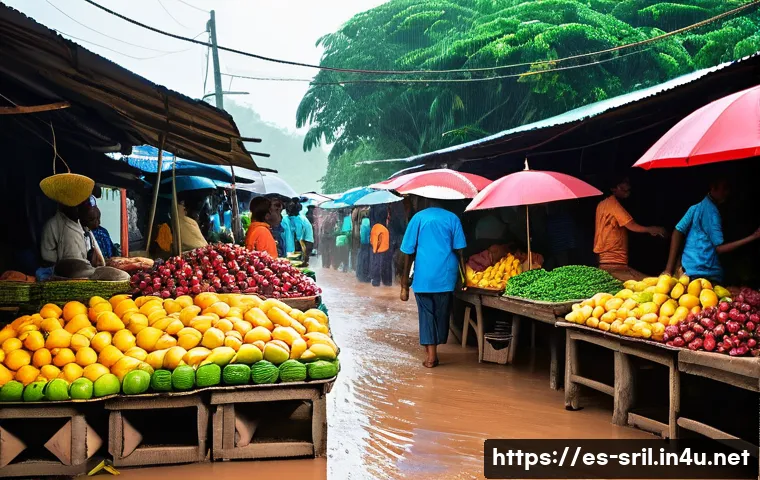 Descubre las mejores épocas para viajar a Sri Lanka según su clima y disfruta al máximo tu aventura 4 스리랑카 기후별 여행 시기 관련 이미지 2